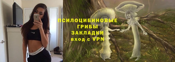 винт Михайловка
