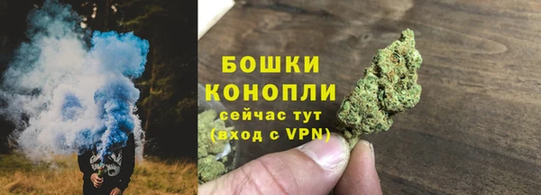 прущие грибы Медвежьегорск