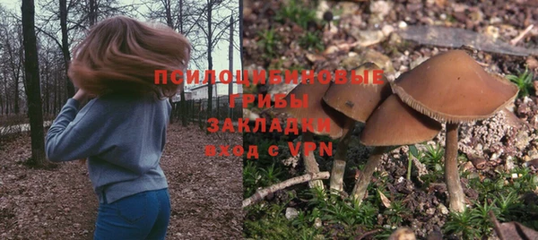 mdpv Мегион