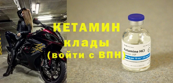 прущие грибы Медвежьегорск